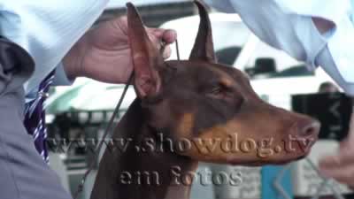 Clique sobre a foto para fechar